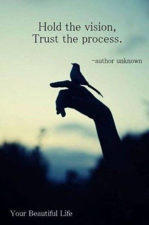 trust the process - Hold the vision, Trust the process. author unknown Your Beautiful Life