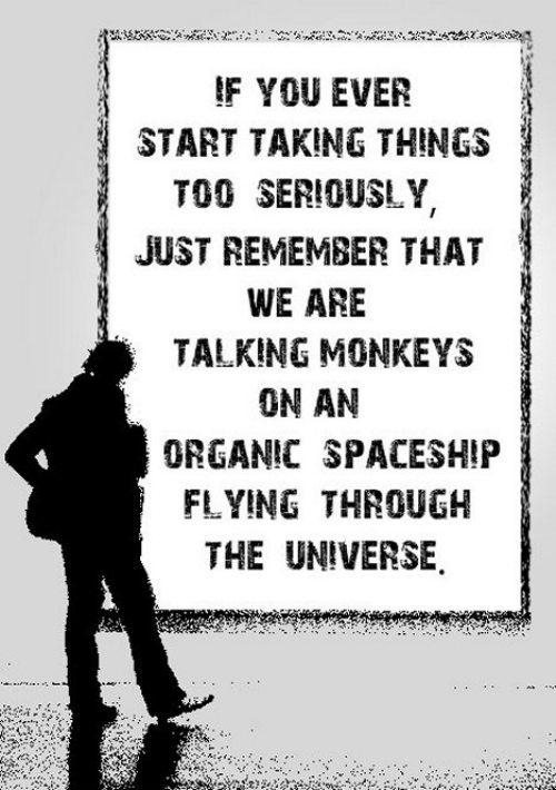 taking things too seriously - If You Ever Start Taking Things Too Seriously Just Remember That We Are Talking Monkeys On An Organic Spaceship Flying Through The Universe 2