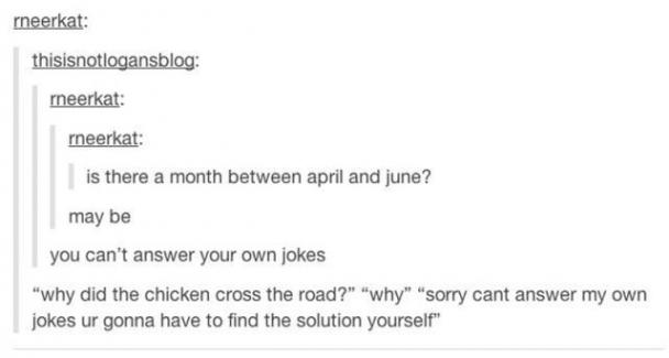 tumblr - document - rneerkat thisisnotlogansblog meerkat meerkat is there a month between april and june? may be you can't answer your own jokes "why did the chicken cross the road?" "why" "sorry cant answer my own jokes ur gonna have to find the solution