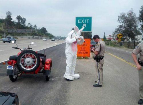 Ward's Random Picture Dump