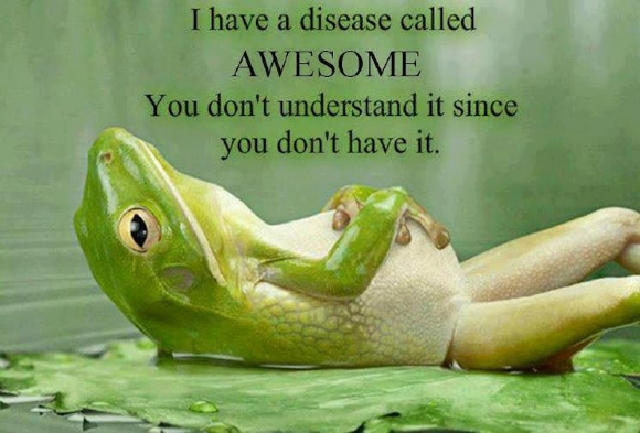 Ward's Random Picture Dump