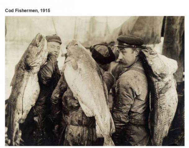 cod wars newspaper - Cod Fishermen, 1915