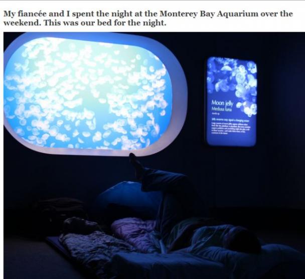 multimedia - My fiance and I spent the night at the Monterey Bay Aquarium over the weekend. This was our bed for the night. Mooney
