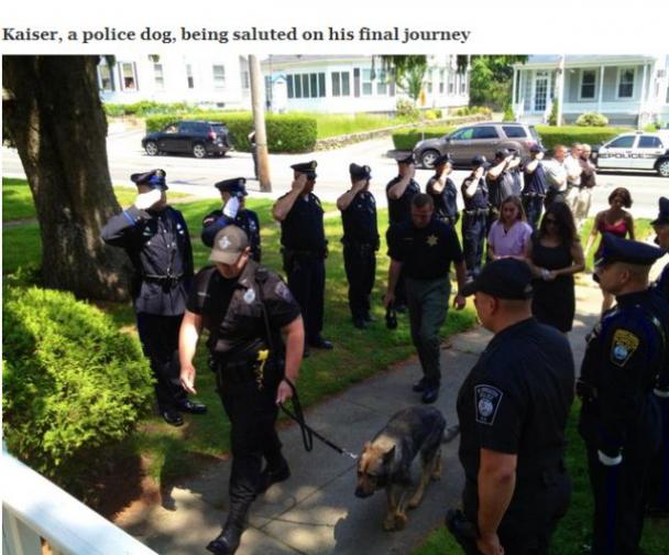 police dog salute - Kaiser, a police dog, being saluted on his final journey