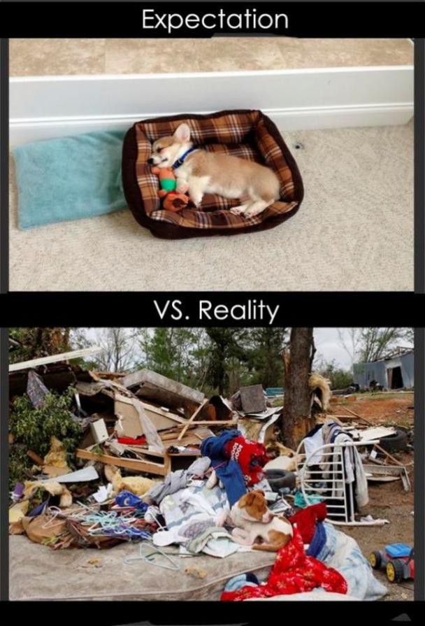 Life VS Reality