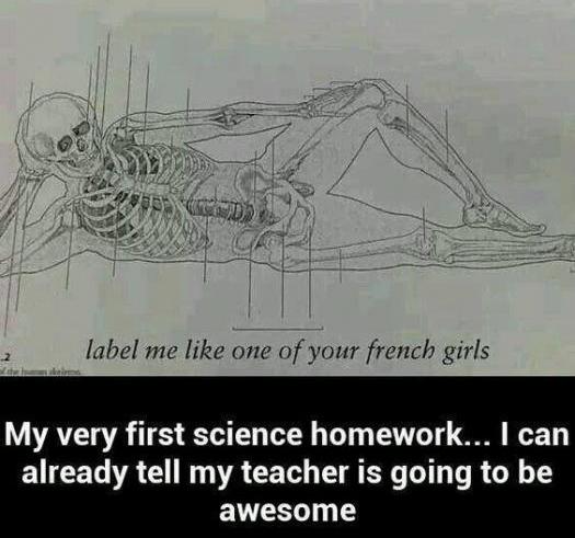 Ward's Random Picture Dump