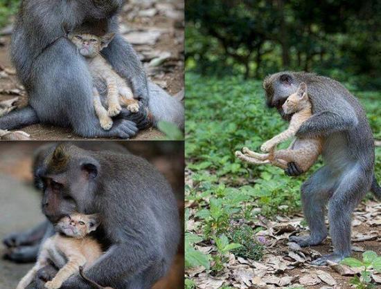 Ward's Random Picture Dump