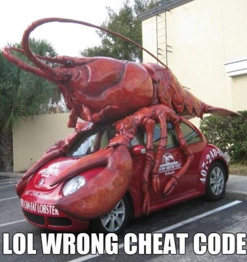 Ward's Random Picture Dump