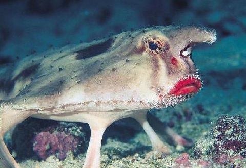 Ward's Random Picture Dump