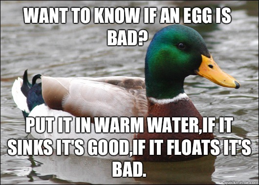 Advice duck Mega collection