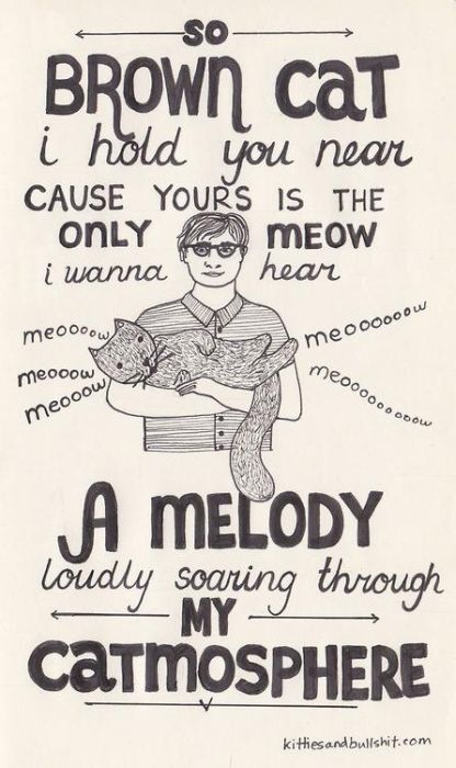 Songs made better by cats