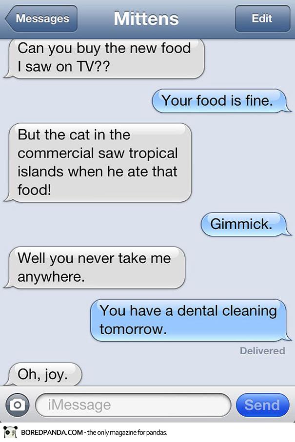 Texts from cats