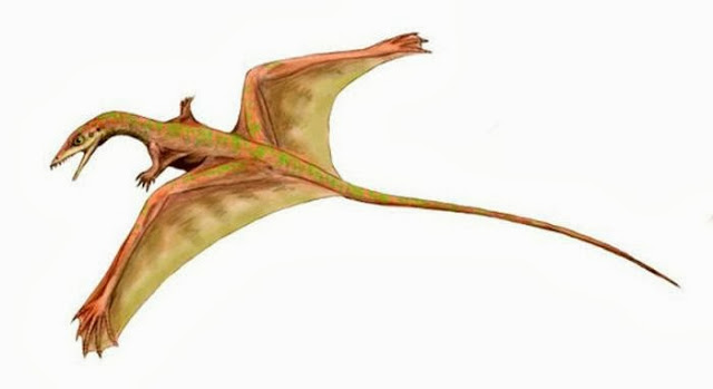 prehistoric winged reptile