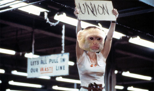 Monkeys dont like unequal pay either.