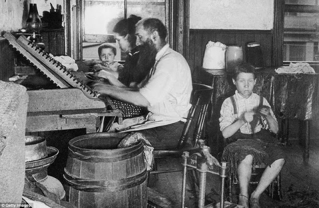 In a picture taken in 1890 a Bohemian family of four roll cigars at home in their tenement. Working from six in the morning till nine at night, they earn 3.75 for a thousand cigars, and between them could turn out three thousand cigars a week