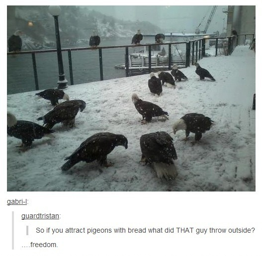 Ward's Random Picture Dump