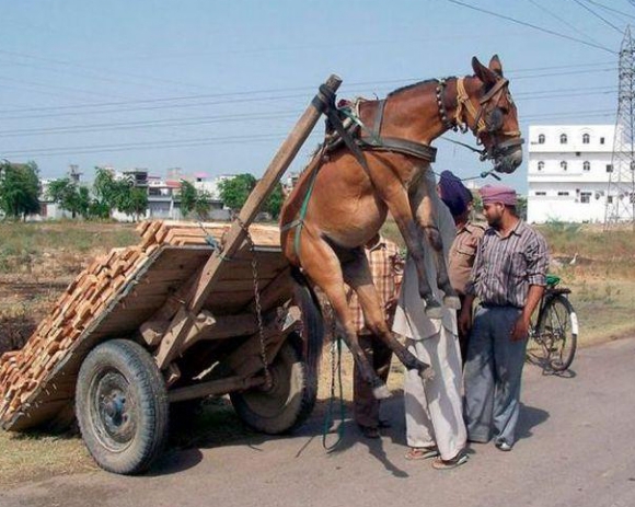 Ward's Random Picture Dump