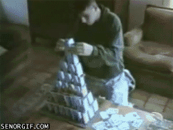 Animals are assholes