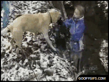 Animals are assholes