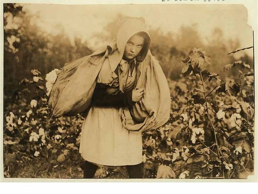 Callie Campbell, 11 years old, picks 75 to 125 pounds of cotton a day, and totes 50 pounds of it when sack gets full. No, I dont like it very much. Location: Potawotamie County, Oklahoma.