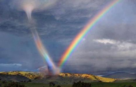 Ward's Random Picture Dump