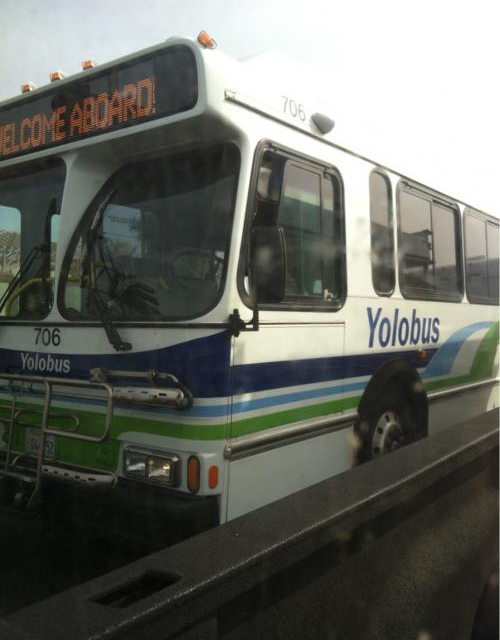 Ward's Random Picture Dump