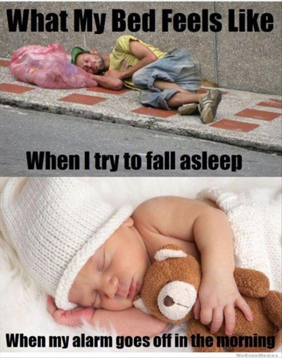 Ward's Random Picture Dump