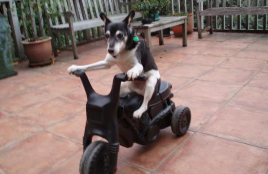 Ward's Random Picture Dump