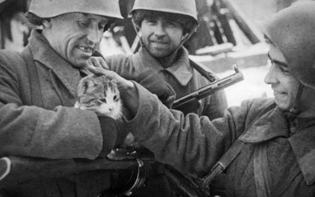Soviet soldiers in Stalingrad playing with a cat, late 1942, early 1943