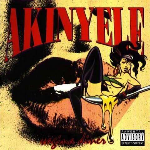 Why yes, Akinyele was known for his extremely sexually explicit lyrics. How did you know?FYI, one of his first hits was a song called Put It in Your Mouth, so.yeah.