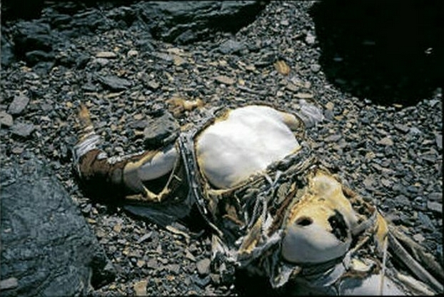George Mallory died in 1924 and was the first to make an attempt to reach the summit of the worlds highest mountain. His body, still perfectly preserved, was identified in 1999.
