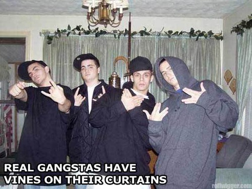 Real gangsters