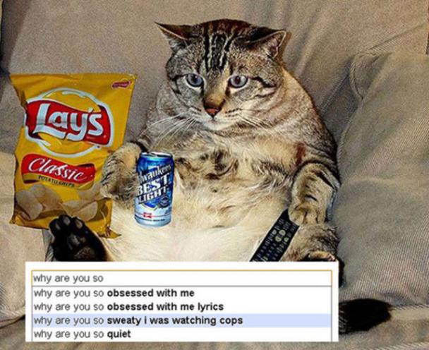 couch potato cat - lays Classic Putatuerit why are you so why are you so obsessed with me why are you so obsessed with me lyrics why are you so sweaty i was watching cops why are you so quiet