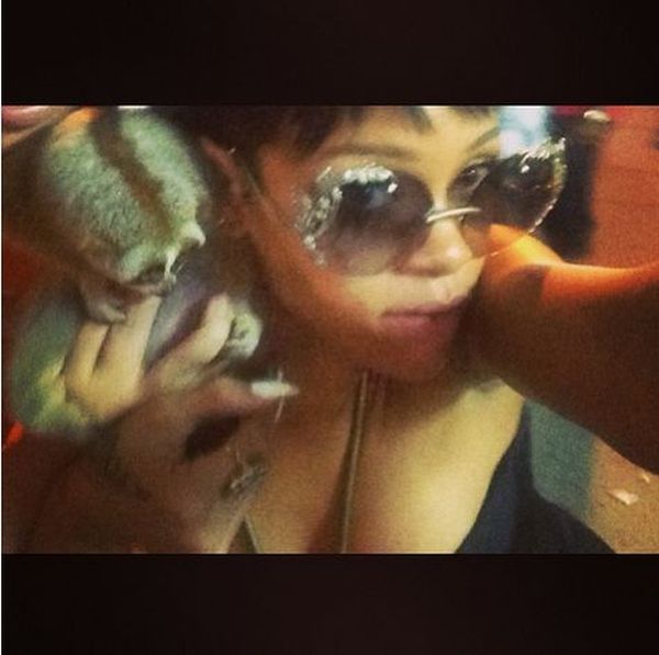 Rihannas illegal slow loris selfie in Thailand.