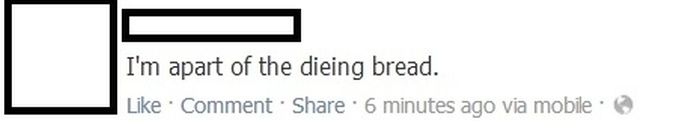 The Dumbest people on social media