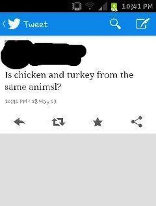 The Dumbest people on social media