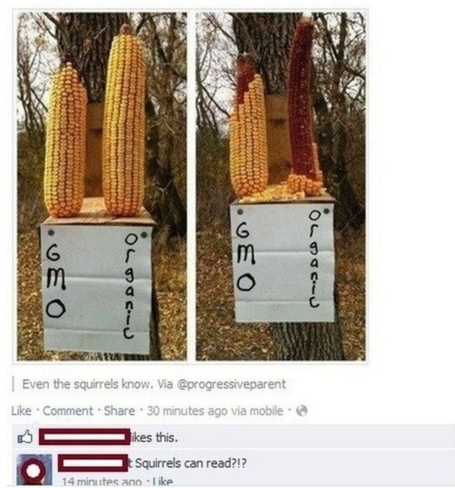 The Dumbest people on social media