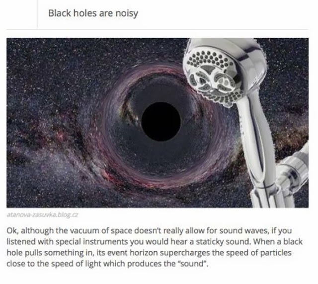 Facts about black holes