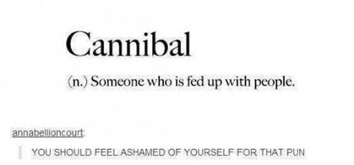 pun angle - Cannibal n. Someone who is fed up with people. annabellioncourt You Should Feel Ashamed Of Yourself For That Pun