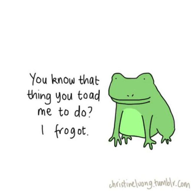 pun toad puns - You know that thing you toad me to do? I frogot. christineluong.tumblr.com