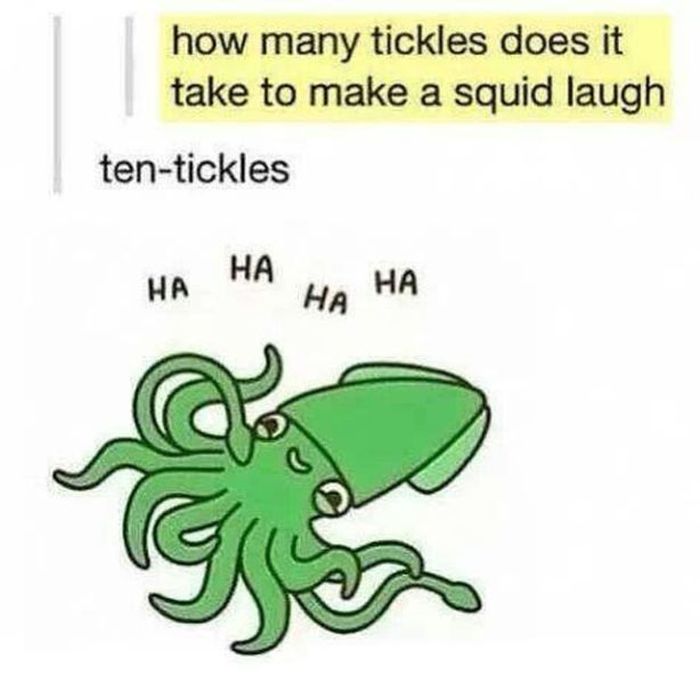 pun ten tickles - how many tickles does it take to make a squid laugh tentickles Ha Ha Ha Ha