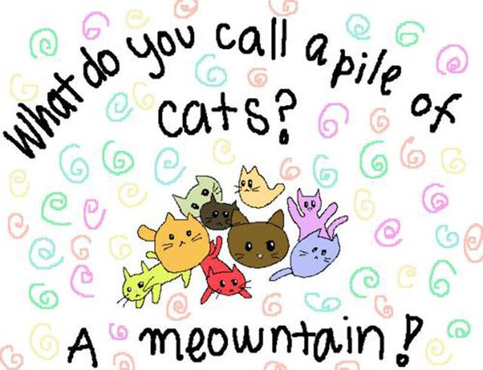 pun cartoon - @ so you call anilo Whct cats? Of G A meowntaina