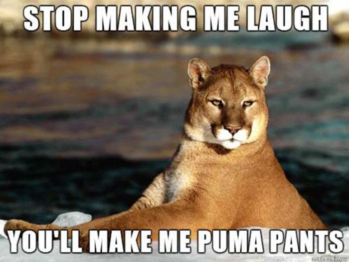 pun funny pun memes - Stop Making Me Laugh You'Ll Make Me Puma Pants Ess