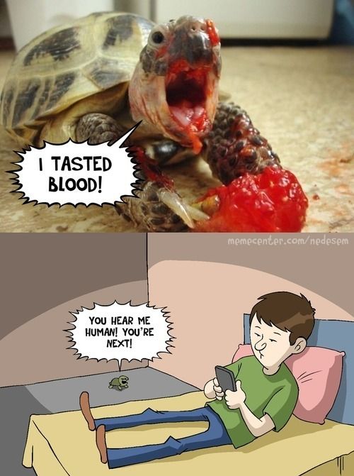 Ward's Random Picture Dump