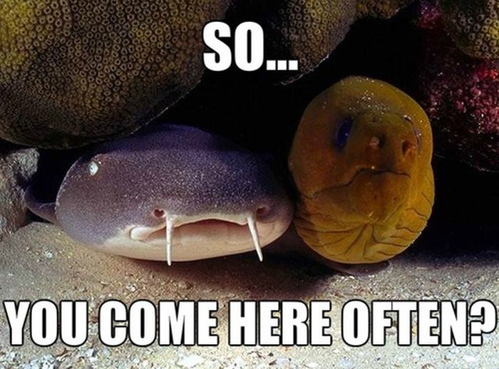 Ward's Random Picture Dump