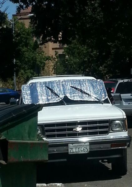 Ward's Random Picture Dump