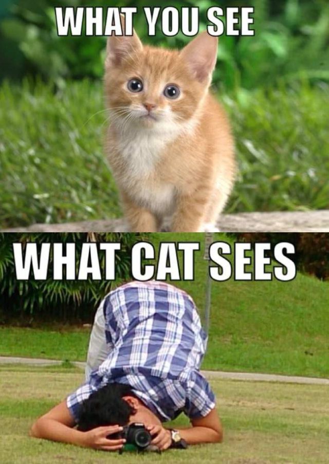 Ward's Random Picture Dump