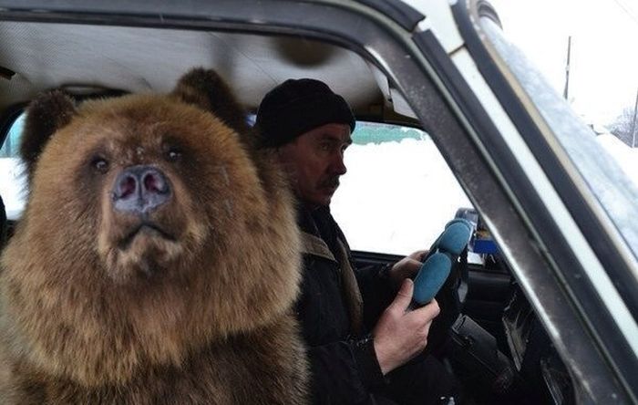 Ward's Random Picture Dump