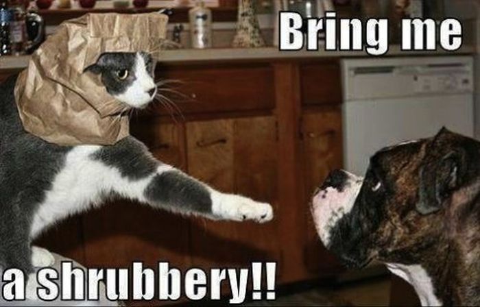 funny cats and dogs - Bring ine Bring me a shrubbery!!