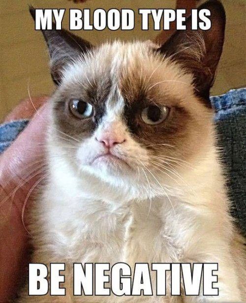 grumpy cat i had fun once - My Blood Type Is Be Negative